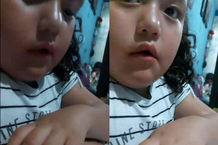 Niña se vuelve viral por no saber pronunciar “me”; en su lugar, responde “oveja”