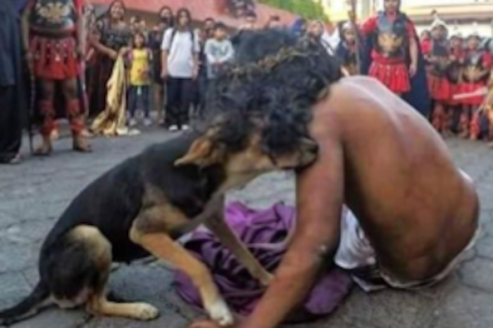 Perro callejero protagoniza conmovedor gesto durante la representación de la Pasión de Cristo