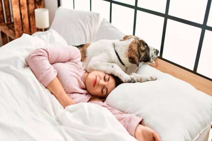 Dormir con tu mascota no es buena idea: Así 