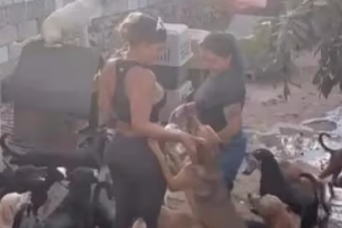 ¿Niurka utiliza perros en rituales de santer