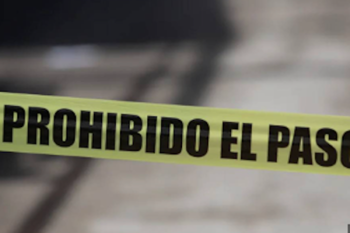 Familia se impacta tras esquivar cocodrilo en Sinaloa