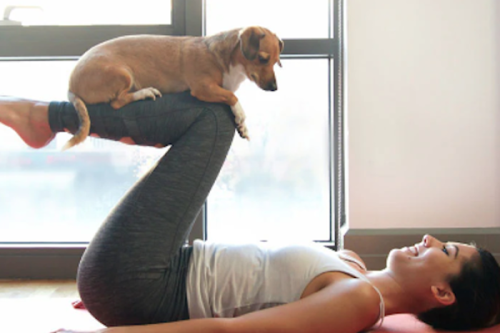 Italia prohíbe el controvertido “yoga con cachorros” por preocupaciones de bienestar animal