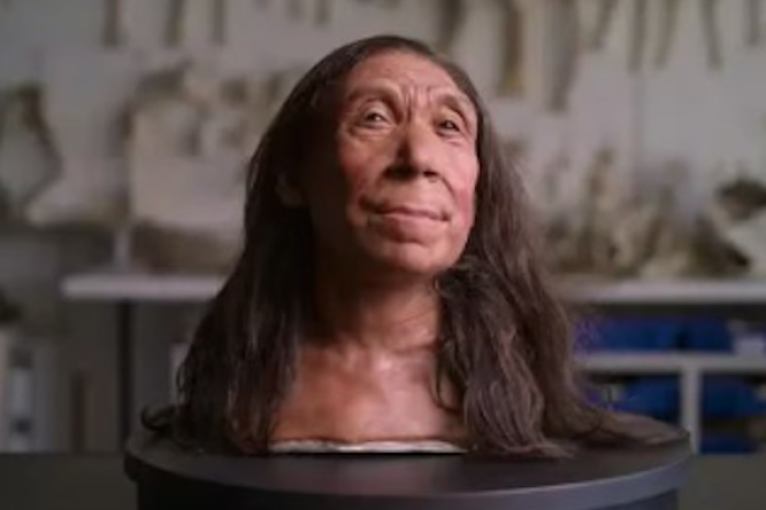 Científicos recrean el rostro de una mujer neandertal 
