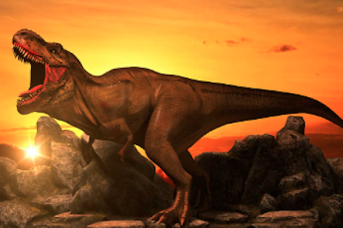 Las aves, los parientes vivos más cercanos a los dinosaurios
