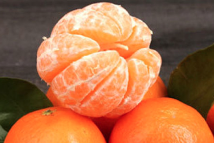 La mandarina: ¡Un tesoro de vitaminas para el otoño!