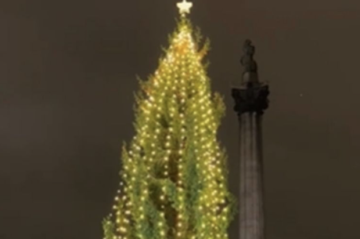 El árbol de Navidad de Trafalgar Square: tradición, críticas y memes en redes sociales