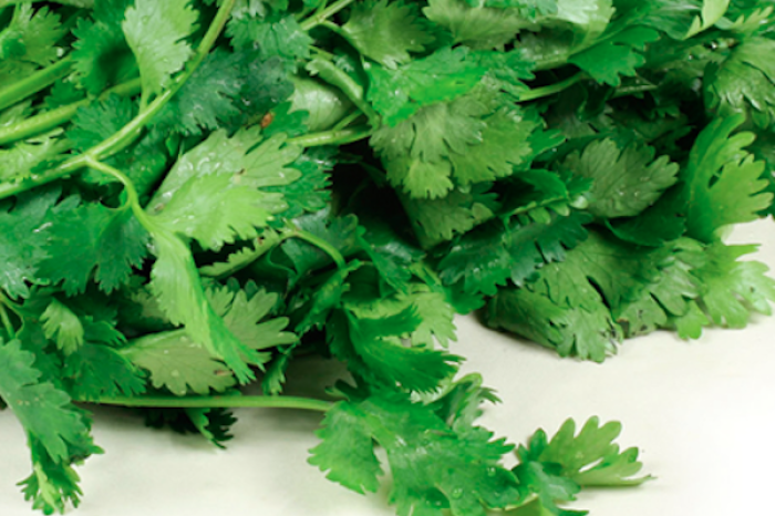 El té de cilantro, una infusión natural con beneficios para la salud