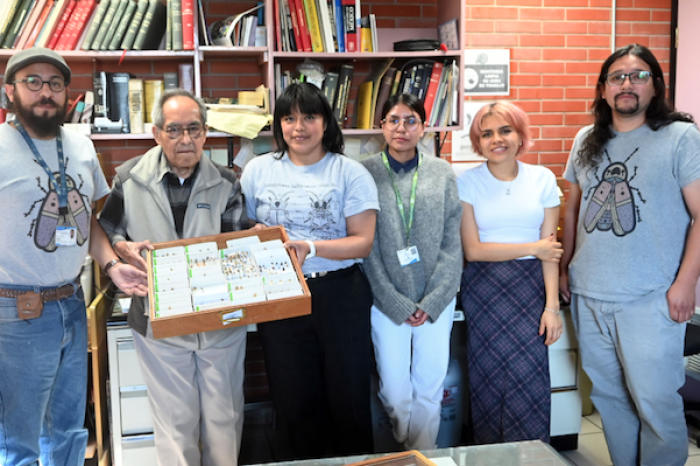 México brilla con luz propia: Descubren 101 nuevas especies de luciérnagas