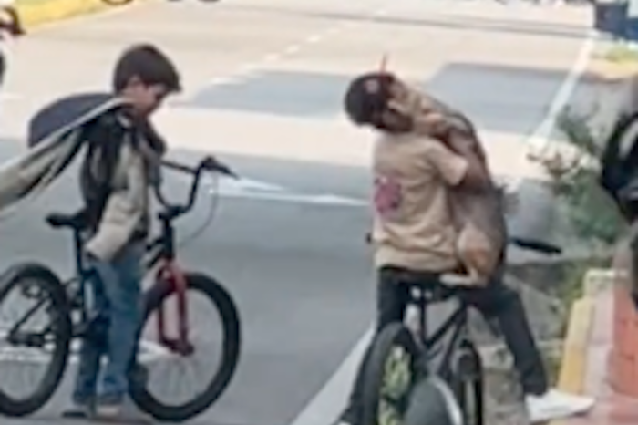 Niño conmueve las redes al pasear a su perro en bicicleta y protegerlo del sol