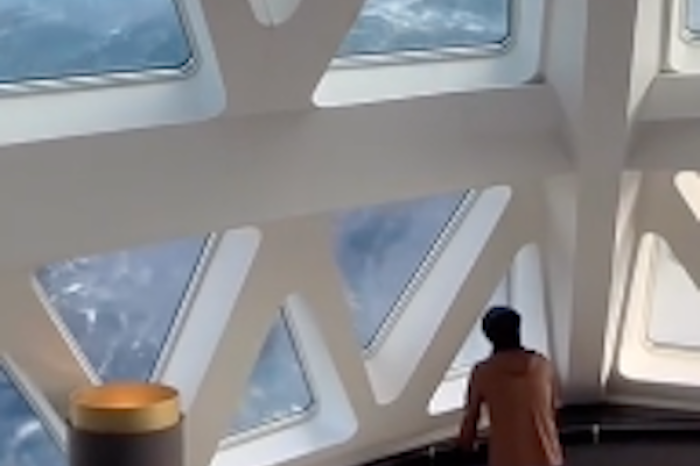 Ola gigante sacude crucero y aterroriza a pasajeros