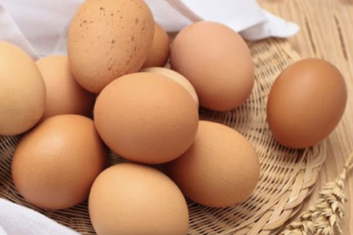 Cómo almacenar huevos de forma segura