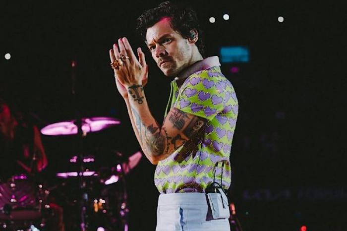 Harry Styles construirá una supermansión en Londres