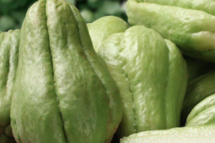 El chayote: el superalimento mexicano que conquista por sus beneficios medicinales