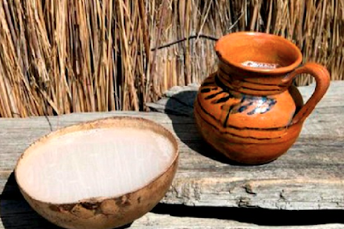 Pulque: El néctar prehispánico que nutre y revitaliza tu salud
