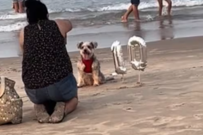 Mujer celebra el cumpleaños de su perrito co