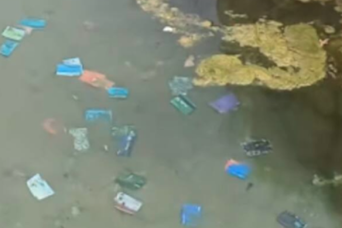 Un lago lleno de tarjetas: el extraño ritual