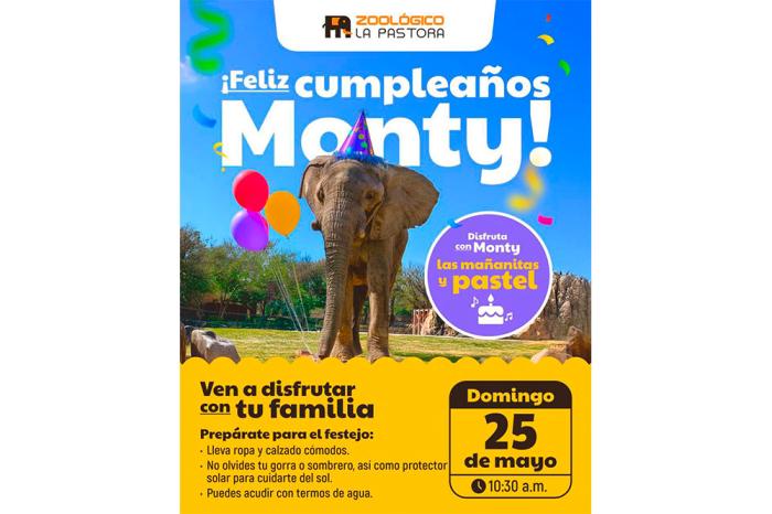 Festejarán cumpleaños 19 del elefante “Mo