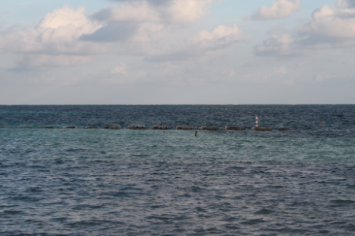  ¿Cómo se orientaban los vikingos en el mar sin usar una brújula?