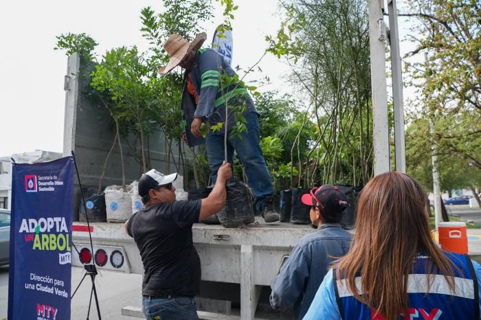 Avanza con éxito proyecto “Adopta un Árbo