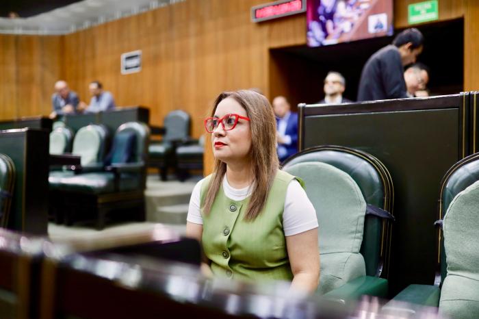 Presenta Armida Serrato nueva Ley de Imagen Institucional