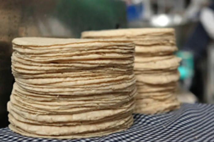  ¿Cuánto duran las tortillas en el refrigerador?