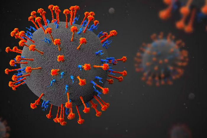 Un nuevo virus descubierto en China está a u