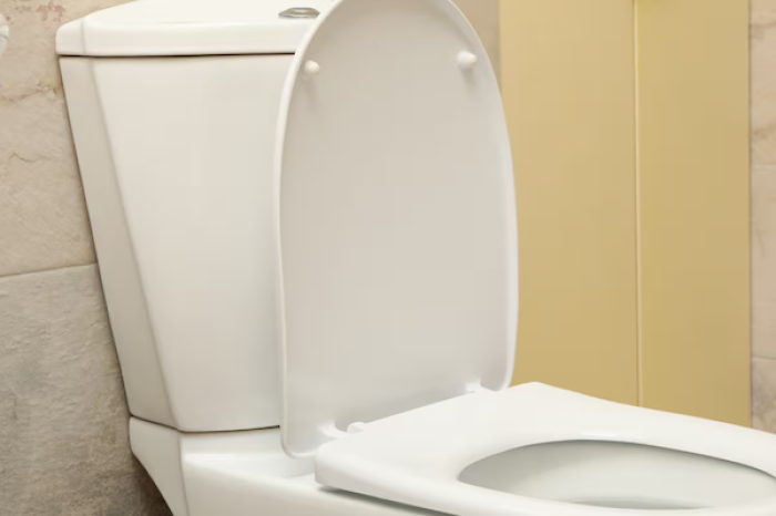 El teléfono en el baño: un hábito común q