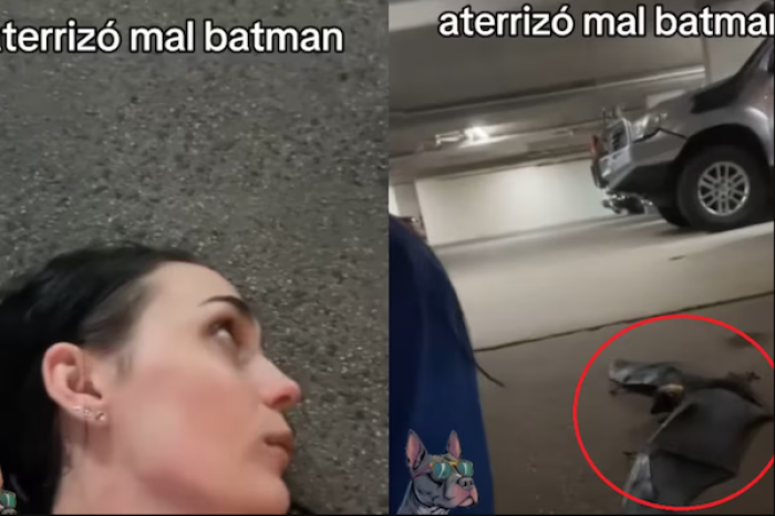 Se grababa acostada en el asfalto y un murci