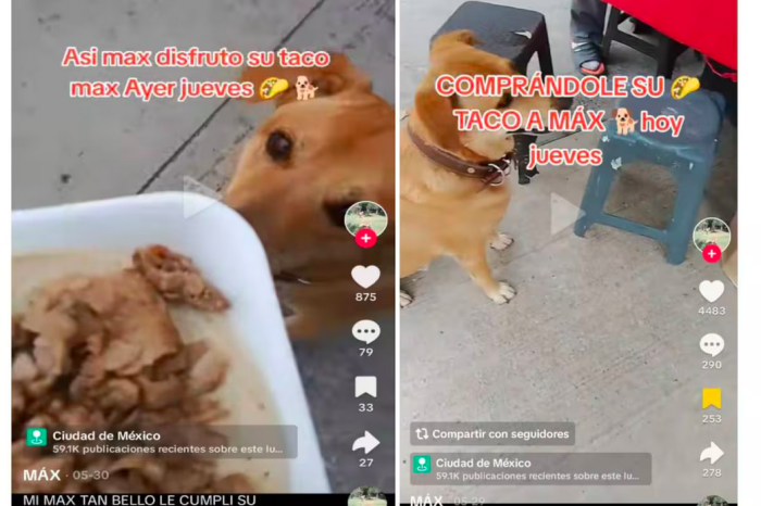 Mujer compra un taquito de bistec para su per