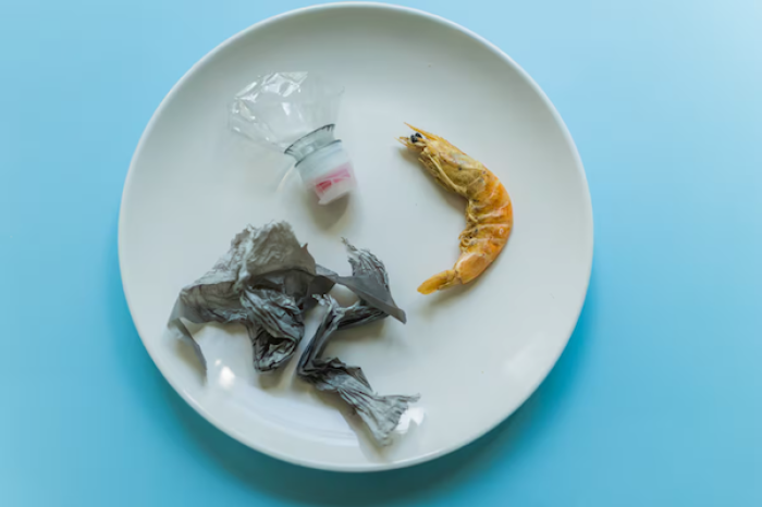 Envases comunes pueden liberar microplásticos en la comida, alerta un estudio