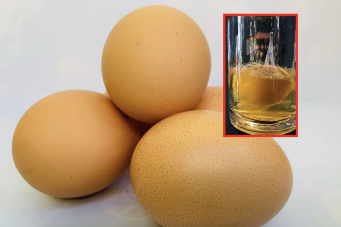 ¿¿Sabías que la lectura de la limpia con huevo tiene una explicación científica?