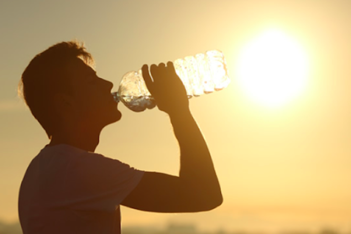Ola de calor en Europa deja más de 2,000 muertos: El cambio climático, el principal responsable