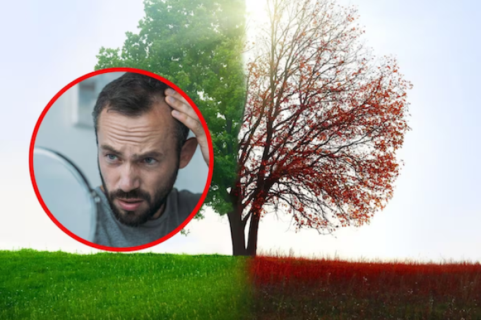 La influencia de las estaciones en la caída del cabello