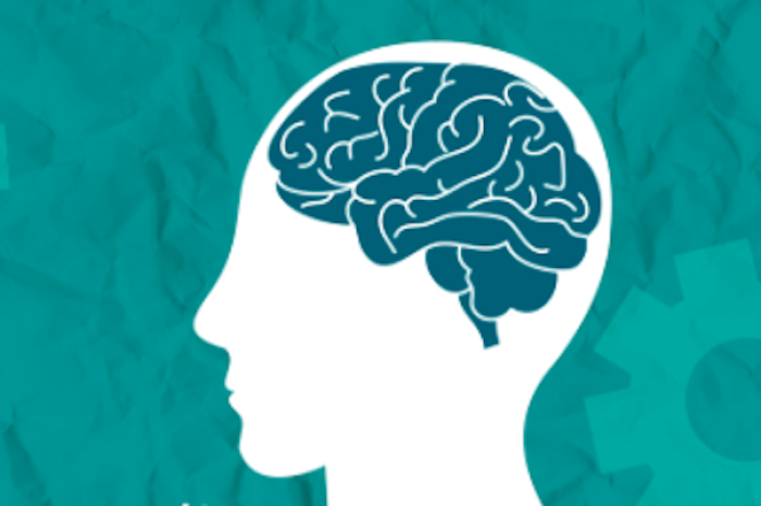 El cerebro humano puede anticipar el futuro inmediato, revela la ciencia