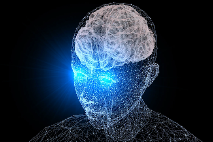 El cerebro humano anticipa el futuro unos segundos antes, según estudios