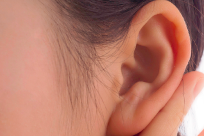 Los huesos más pequeños del cuerpo: Así funcionan los huesecillos del oído