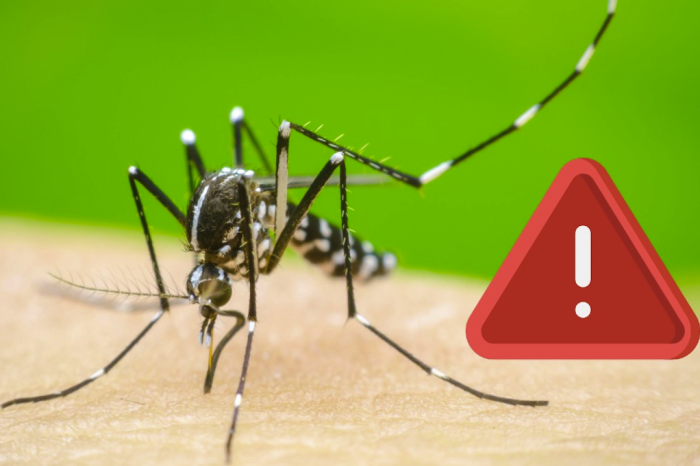 Sister Hong: el escándalo del hombre que se hizo pasar por mujer, engañó a cientos y grabó en secret