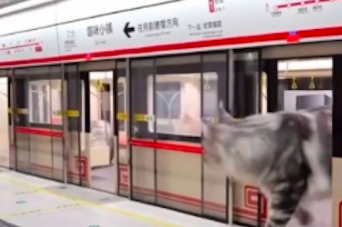 Youtuber construye una estación de metro en miniatura para sus gatos y enternece a internet