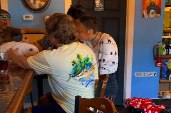 Tlacuache irrumpe en un bar y se vuelve viral por su inesperado carisma