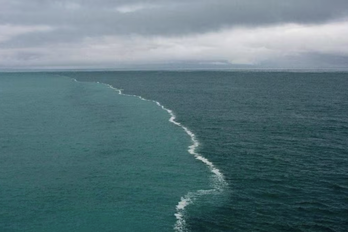 ¿Por qué parece que el Atlántico y el Pacífico no se mezclan?