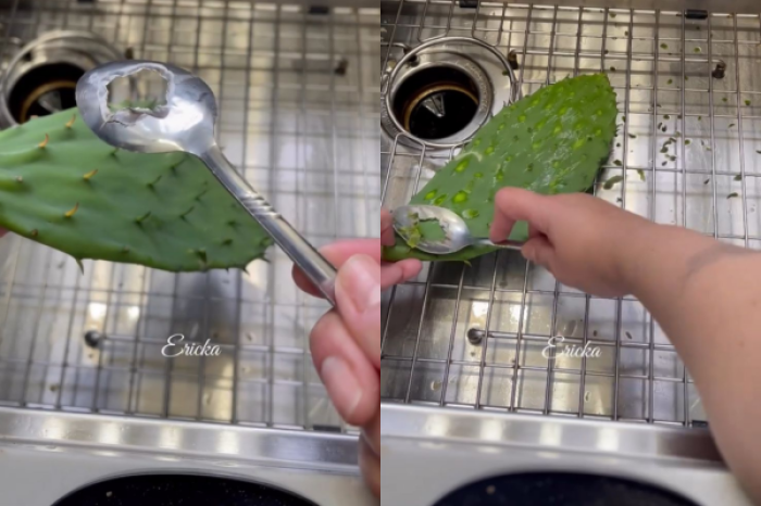 Ingenio mexicano: La cuchara que desespina nopales 