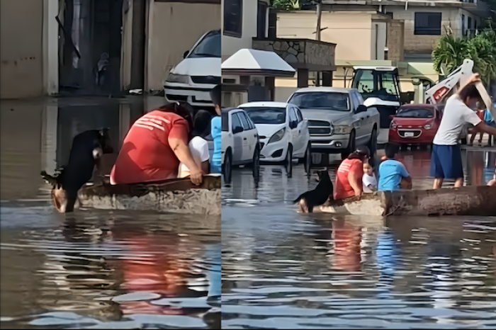 Perrito ayuda a su familia a empujar lancha durante las inundaciones