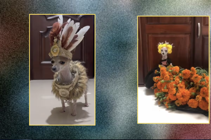 Chihuahua causa sensación en redes al lucir trajes prehispánicos