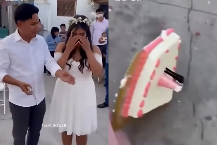 Perros de los novios destruyen el pastel de boda