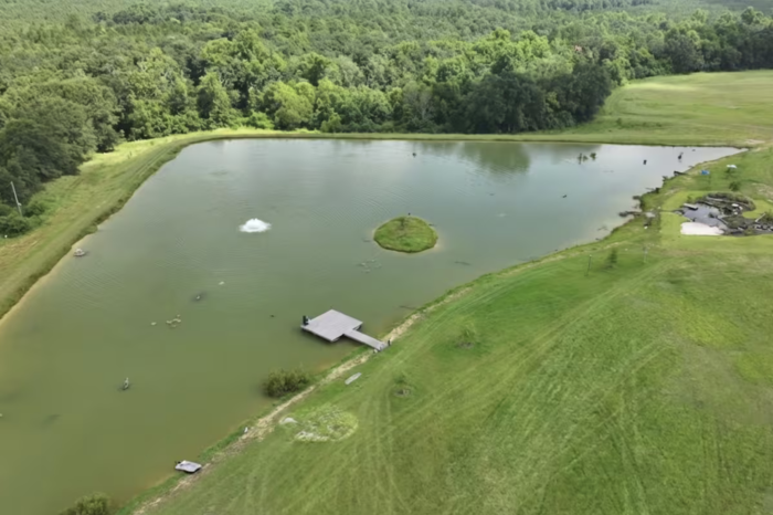 Un lago creado para la acuicultura terminó transformándose en un refugio natural