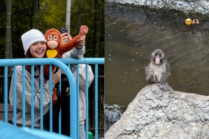Lisa de BlackPink visita a Punch, el monito v