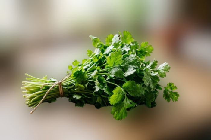 Descubre los beneficios terapéuticos del cil