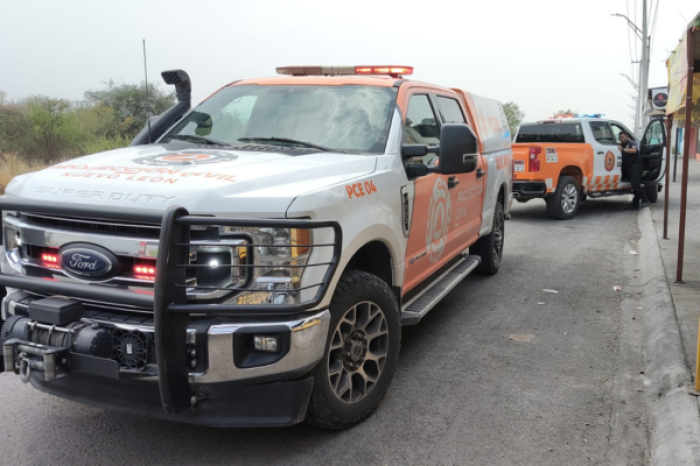 Enjambre de abejas ataca a 13 personas en Gua