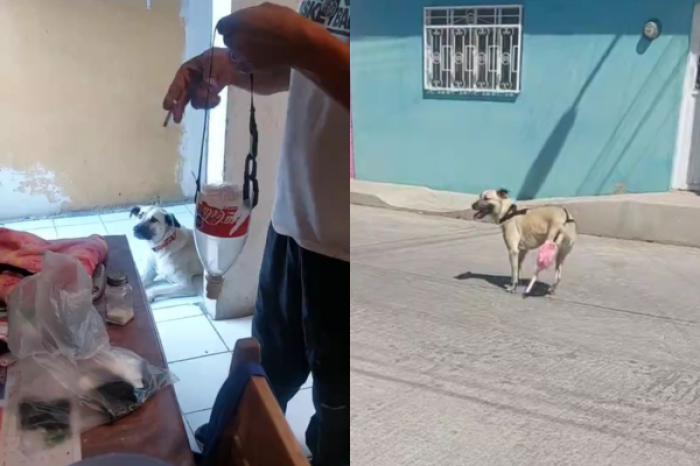 Familia crea prótesis con botellas reciclada