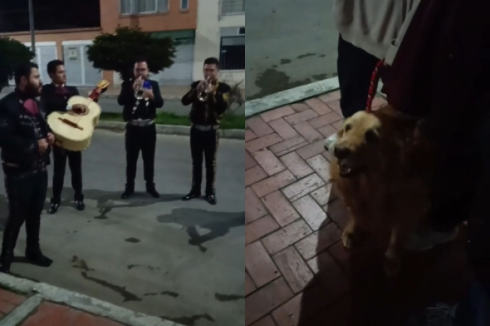 Familia despide a su perrita con serenata; pa